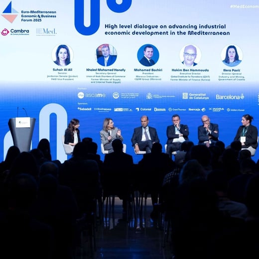 Articulos Anwar Zibaoui (2)-4