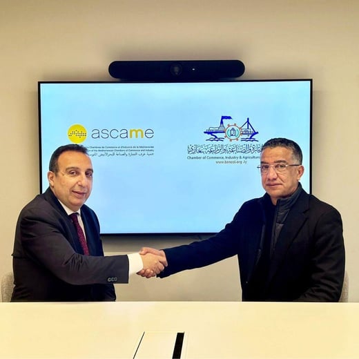 Articulos Anwar Zibaoui (20)