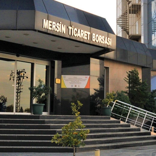 Articulos Anwar Zibaoui (22)