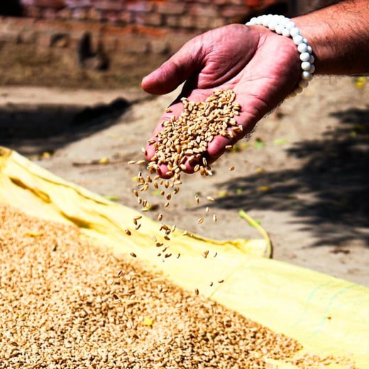 Articulos Anwar Zibaoui (27)