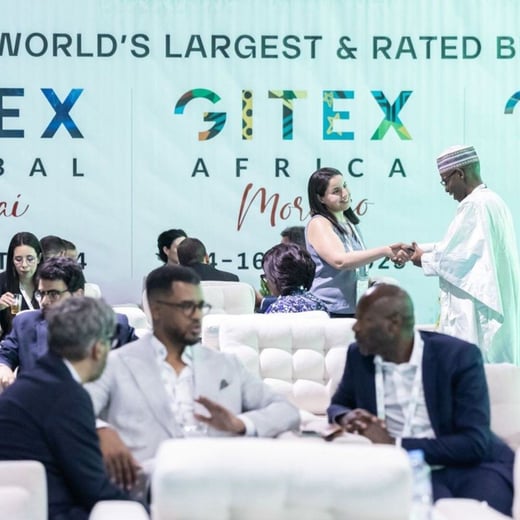 Articulos Anwar Zibaoui (31)