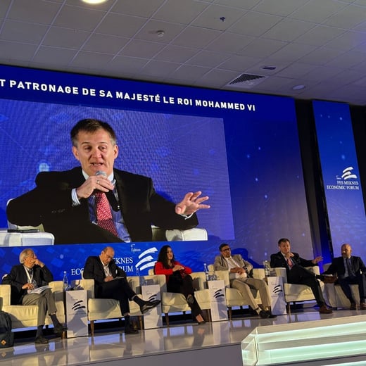 Articulos Anwar Zibaoui (32)-1