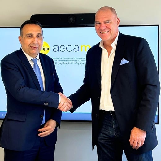 Articulos Anwar Zibaoui (54)