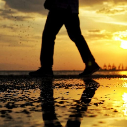 Articulos Anwar Zibaoui (72)