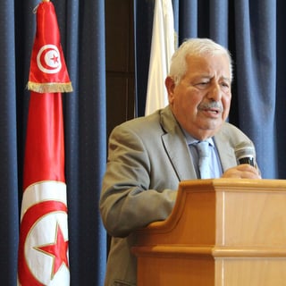 Articulos Anwar Zibaoui-1